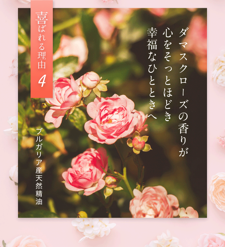 ダマスクローズの香りが心をそっとほどき幸福なひとときく